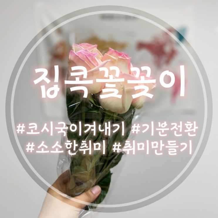  [꽃병꽂이] 집순이 소소한 취미 꽃꽃이하기(집에서하는취미)