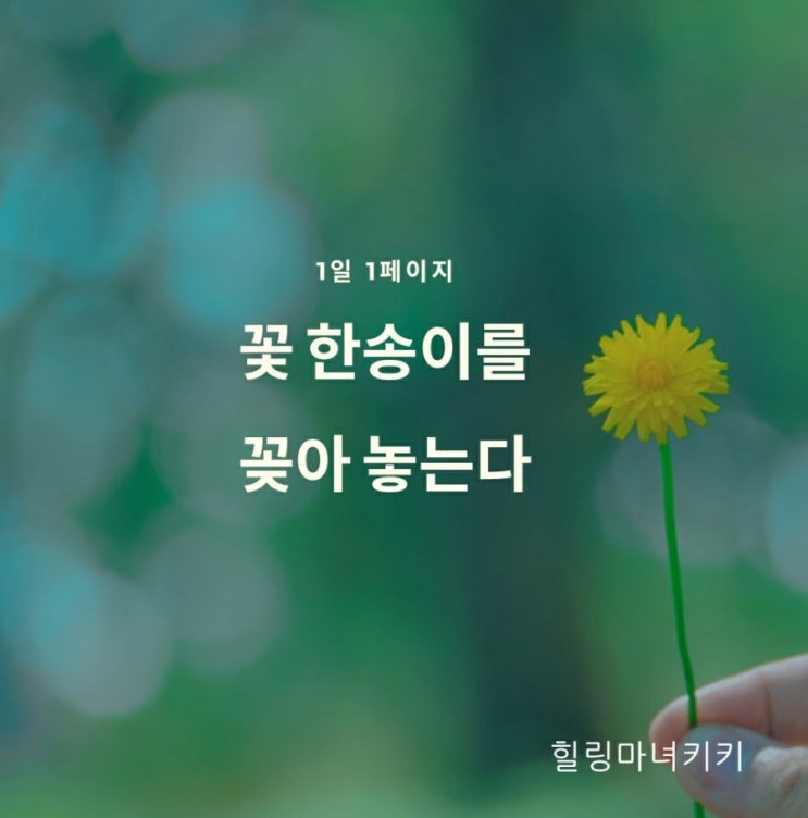  1일 1페이지 ㅡ 29일 꽃 한 송이의 기적, 책상 정리는 덤^^