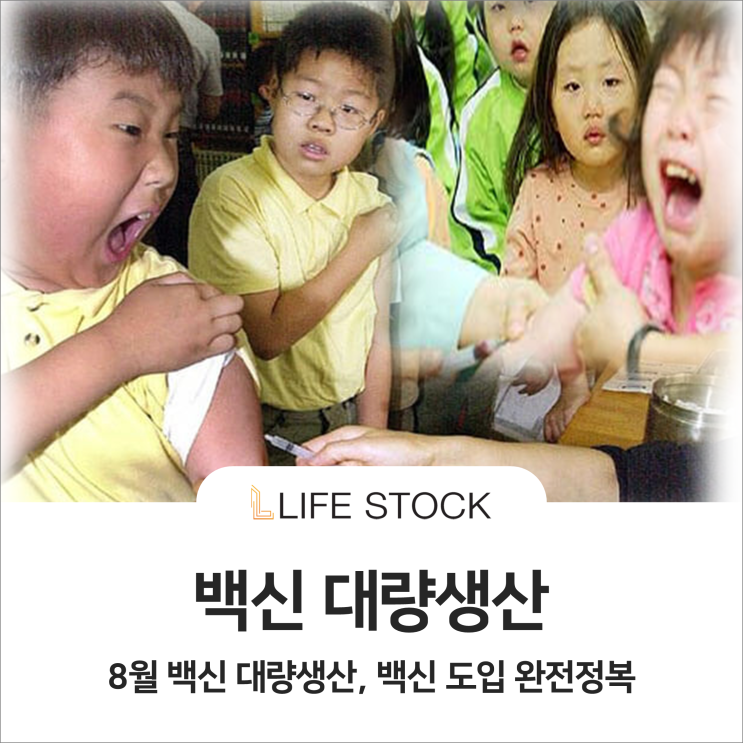 8월 백신 대량생산, 백신 도입 완전정복