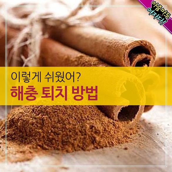  해충 퇴치 방법
