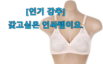 후기보고 반하나 안반하나 갖고싶은 풍기인견 브라 신선한 목록 소개해요 나만의 행복이에요.