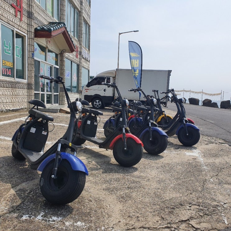  제주도 엑티비티 추천 차귀도 배낚시 + 전동바이크 추천