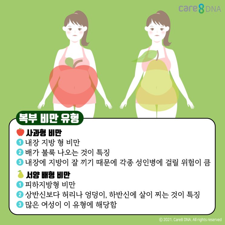  [땀나는] 복부비만 총정리편. 복부비만 정의, 원인, 진단, 생활 습관, 운동 처방, 운동 강도, 지방 감량