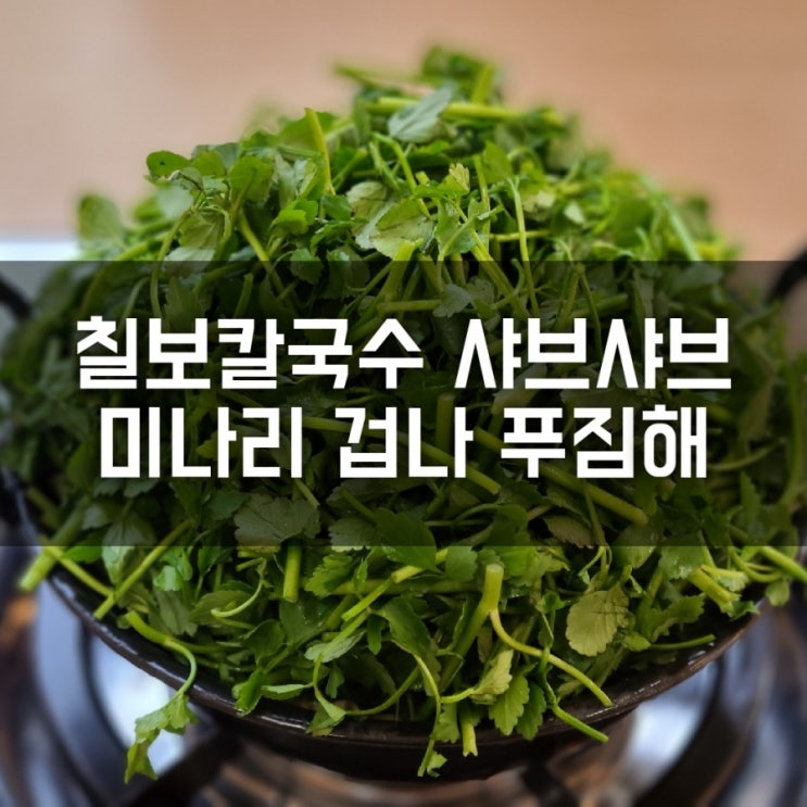 칠보칼국수 샤브샤브 미나리 겁나푸짐한 호매실맛집