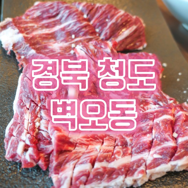 경북 청도 소고기 맛집 벽오동 특수부위메뉴 벽오동스페샬