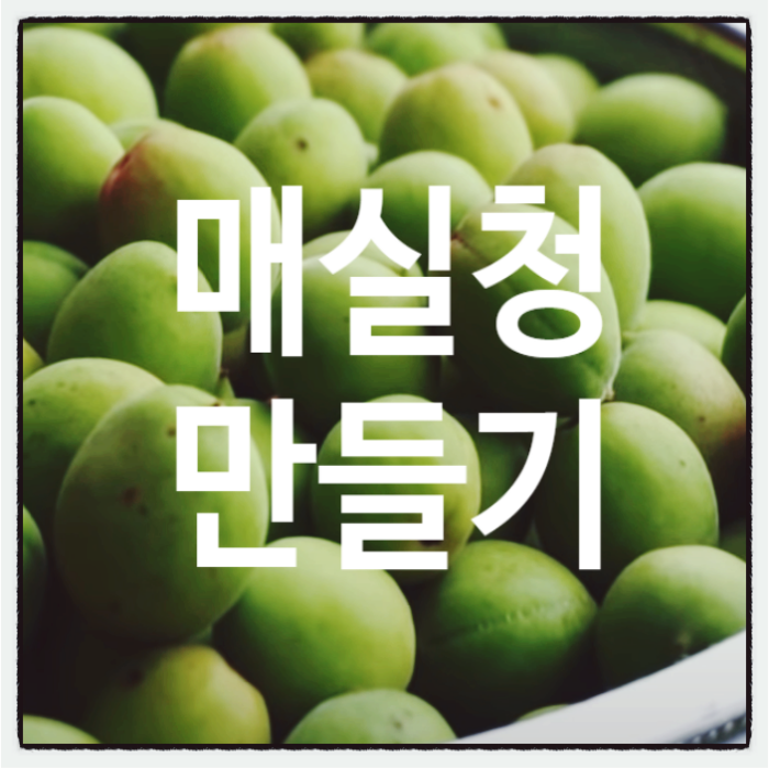  매실 엑기스 매실청 담그기 효능 해독 맛내기 천연조미료