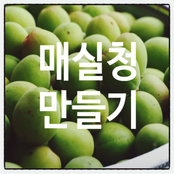 매실 엑기스 매실청 담그기 효능 해독 맛내기 천연조미료