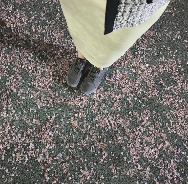  편한운동화 리뷰: 내셔널지오그래픽 푹신푹신 가벼운 운동화,스니커즈 여름산책코디