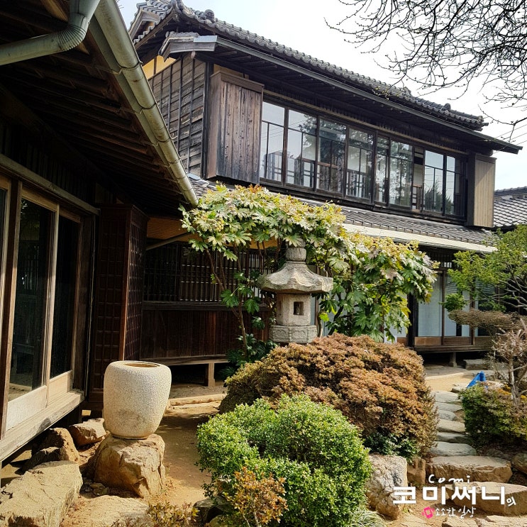 군산 신흥동 일본식 가옥 (히로쓰 가옥) 실내정원 관람 군산 시간 여행코스