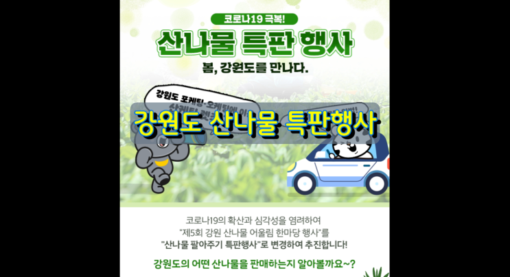 강원도 산나물 비대면 특판행사! 인터넷몰에서 만나보세요 강원도 산나물 비대면 특판행사! 인터넷몰에서 만나보세요