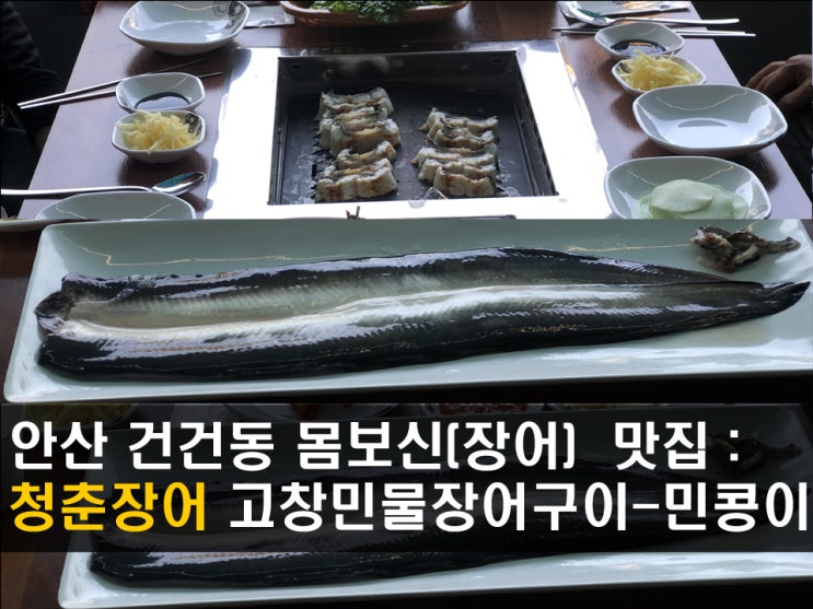  청춘장어 : 안산 건건동(반월) 장어 맛집 - 고창 민물장어구이, 몸보신,면역강화에 최고 - 민콩이