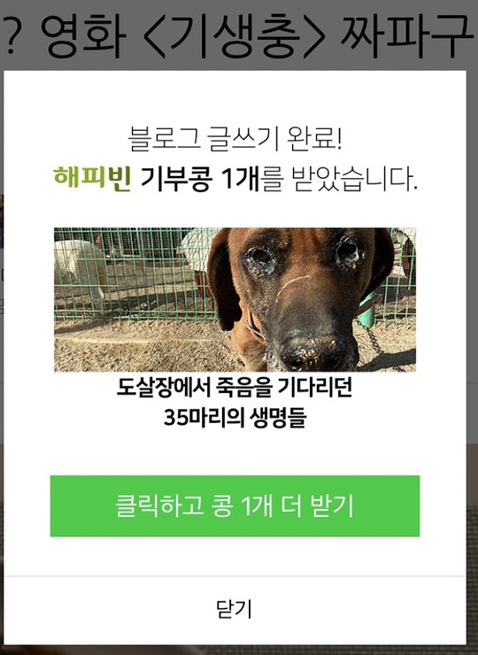 네이버 해피빈 기부 사용 후기 &lt; 도살장에서 죽음을 기다리던 동물들의 치료를 도와주세요 ‘ 동물권행동 카라 ’ &gt;