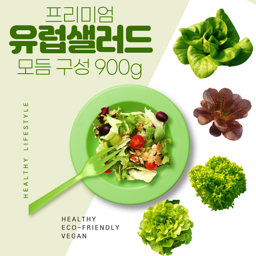 선택고민 해결 샐러드용야채 매일 맛있는 유러피안 샐러드 다이어트 채소 믹스 배달 샐러드 야채 재료 샐러드야채 아침 건강 일주일 데일리 샐러드 식단 도시락 정기배송 배달 주문 임산부