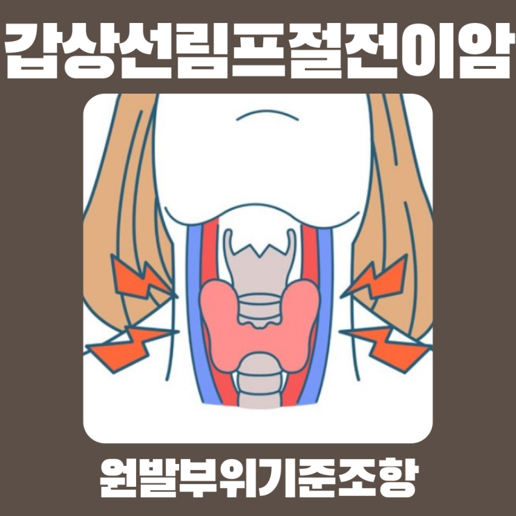  [금융분쟁조정위원회 조정결정서 제2019-17호]                                          암보험약관상 '원발부위 기준 조항'과 보험자의 책임