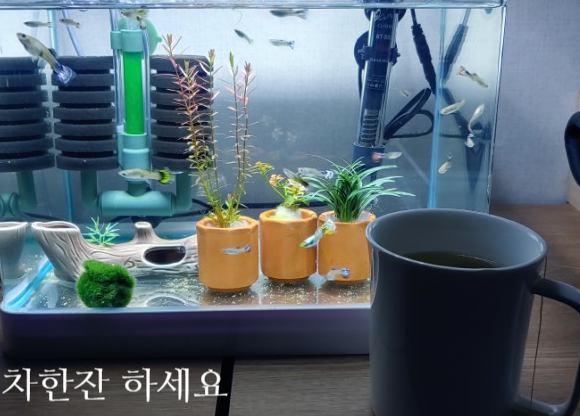  남자살빼기  Vlog  23일째 기록