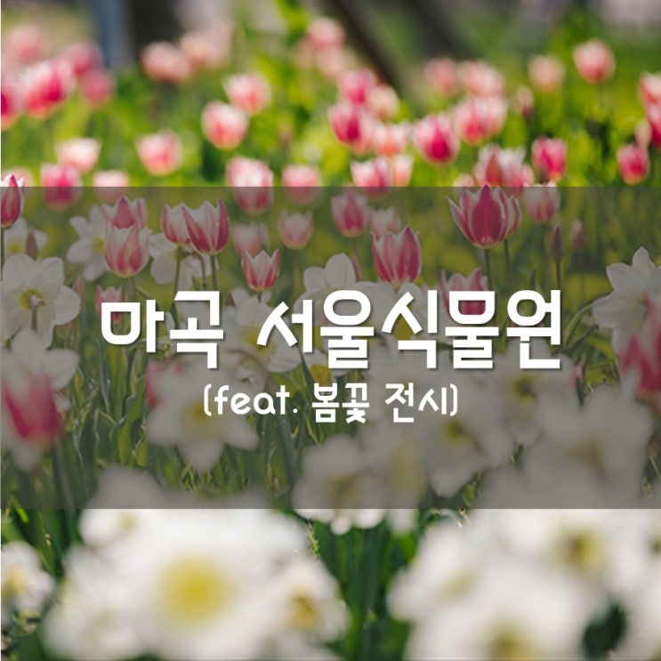  [마곡] 서울식물원 - 주말 나들이, 봄 꽃 전시, 서울 외곽 데이트 장소