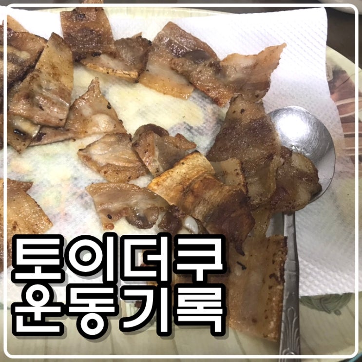 토이콜렉터 손대니 운동(다이어트)기록 - 풀업,푸쉬업,스쿼트 그리고 삼겹살 210420