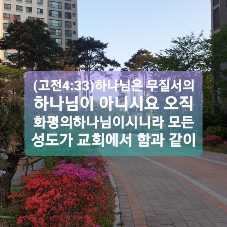  화평의 하나님