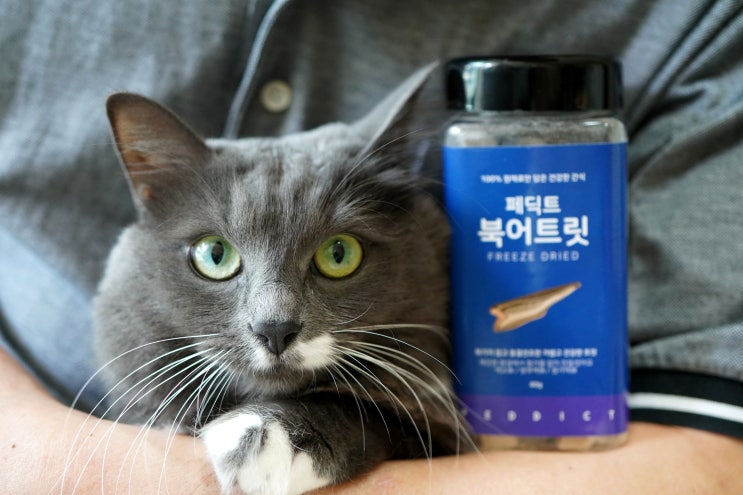  고양이 간식 동결건조간식 페딕트 북어트릿