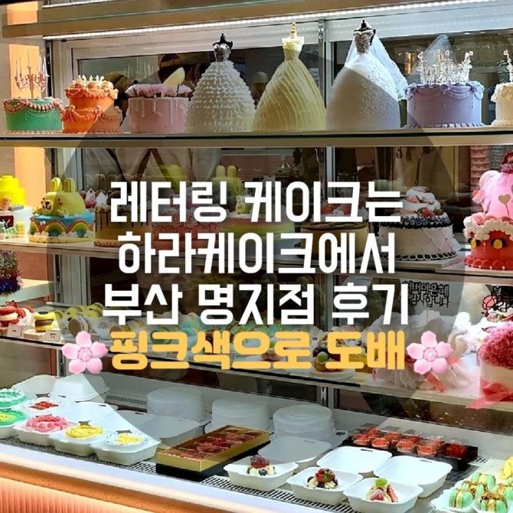 명지 하라케이크 레터링 케익전문 샤방샤방 후기 명지 하라케이크 레터링 케익전문 샤방샤방 후기