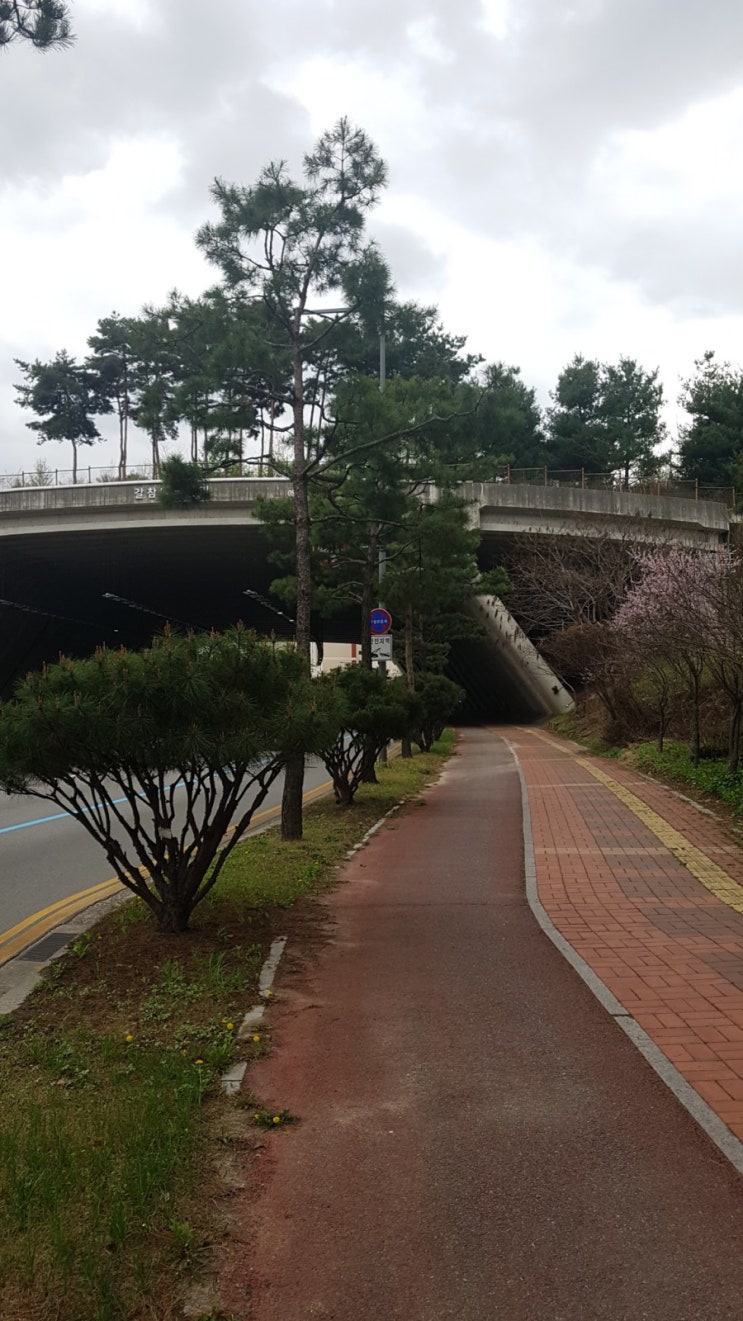 하루쉬면 20만원 내야 (*택배 마트 배송기사) 아파도 쉴수없어