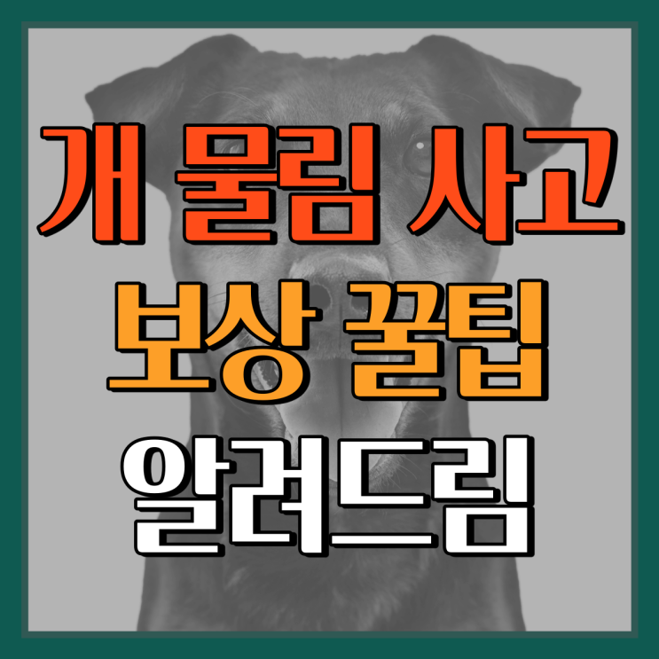 개한테 물렸다구요? 개 물림 사고 '보상 꿀팁' 알려드림