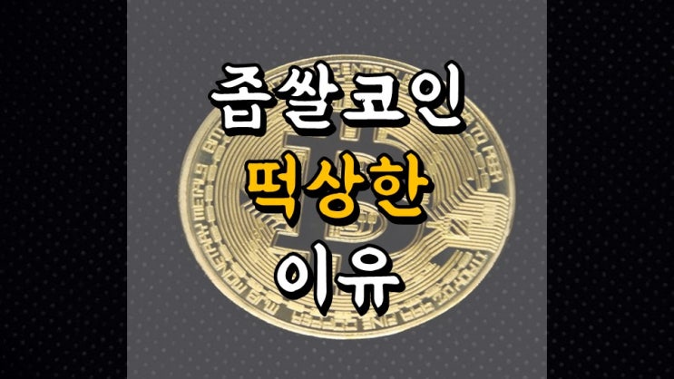  4 월 20 일 머니트리 앱테크일지 - 15 일차 수익 66 만원, 좁쌀 코인 떡상한 이유, 비트코인 결제 업데이트, 비트코인 시세, 코인단타