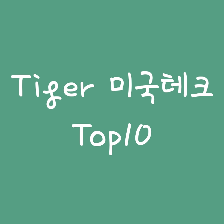 미국 기술성장주에 투자하는 Tiger 미국테크 Top 10 Indxx ETF 미국 기술성장주에 투자하는 Tiger 미국테크 Top 10 Indxx ETF