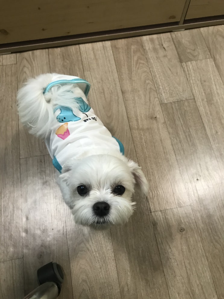 미라클 모닝 9일차
