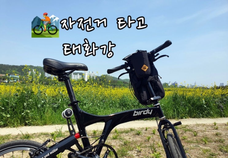  [울산/태화강]자전거타고 / 운동기록