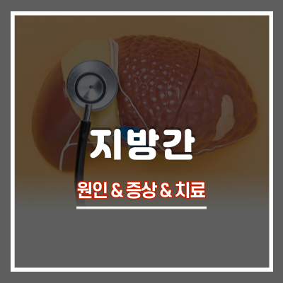  지방간 원인 및 증상과 치료 방법 : 권장하는 지방간 영양제