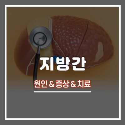 지방간 원인 및 증상과 치료 방법 : 권장하는 지방간 영양제