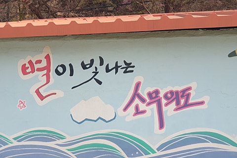 뗌리 이미지