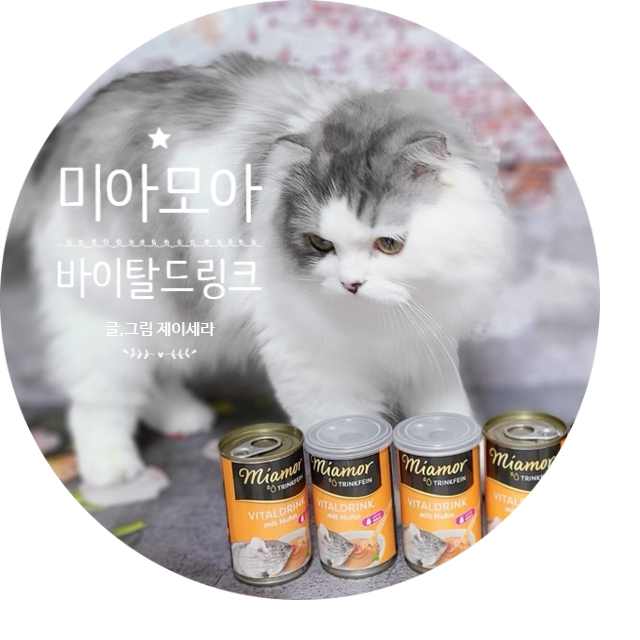 물 안 먹는 고양이 음수량은 미아모아 드링크로 채워주세요(고양이 간식 추천)