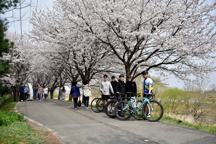  My bicycle life  -  Part 2
