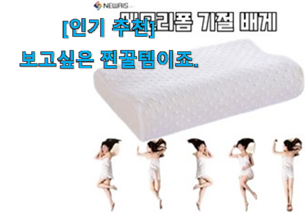 후기 보니 요녀석이 가장 잘팔리네요 완전대박 라텍스 메모리폼베개 굿 아이템 알아볼까요 선물하기에도 좋은듯 해요