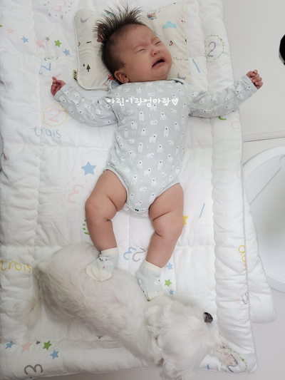 84일차 - 항문마사지, 아기변비, 아기와 강아지, 모윰치발기 84일차 - 항문마사지, 아기변비, 아기와 강아지, 모윰치발기