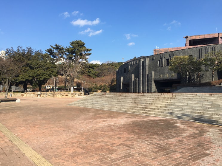  수선화에게 - 정호승