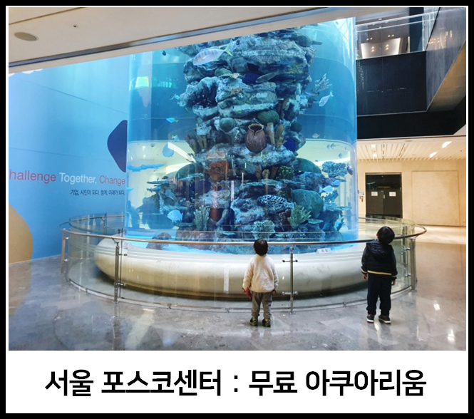 일요일에도 열려 있는 서울 무료 아쿠아리움! (포스코센터 + 하동관 코스 추천)