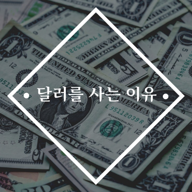  달러를 계속 사는 이유