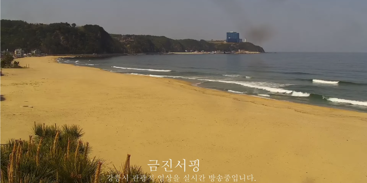  강릉 헌화로 실시간 영상 보기(파도, 날씨 등 확인)