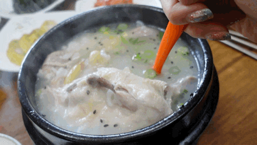  제주 삼계탕 닭한마리가 통째로! 정한토속삼계탕 방문했던 후기