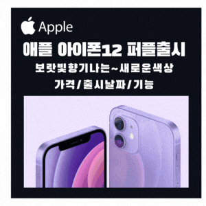 애플 아이폰12  새로운색상 보라색 퍼플 등장