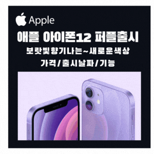 애플 아이폰12  새로운색상 보라색 퍼플 등장