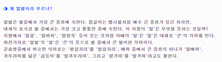  35개월에게 말벌이란? (ft. 말벌 이름의 뜻)
