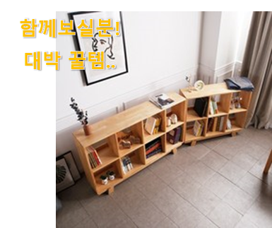  제일 인기있는데는 이유가 있엇네요 고민끝에 선택 고무나무 책장 확실한 꿀템 드디어 발견 만족스럽네요 ㅎㅎ