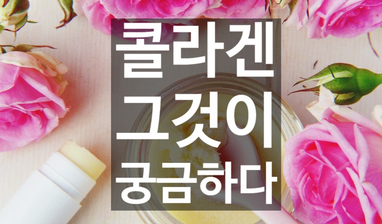  피부관리 루틴에 콜라겐이 들어가야만 하는 이유 !