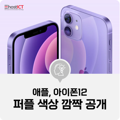  [IT 소식] 애플, 아이폰12 퍼플 색상 깜짝 공개