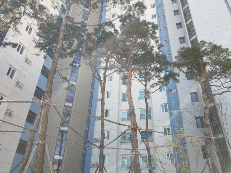 표준임대료란? 월세를 정부가 정해준다