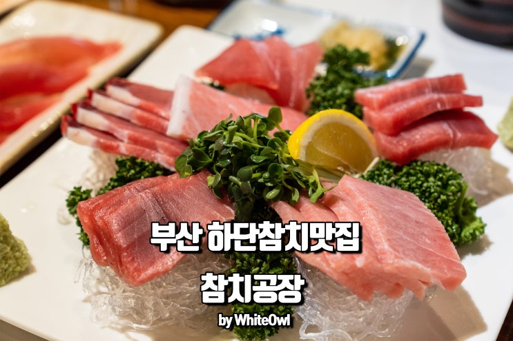  하단일식집 사하 참치공장에서 먹는 회와 후라이드